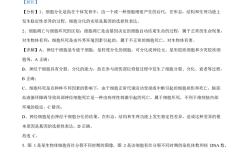 湖北省襄阳市第四中学2024&mdash;2025学年高一下学期3月考试生物试题Word版含解析_2025年04月试卷_0428湖北省襄阳市第四中学2024-2025学年高一下学期3月月考