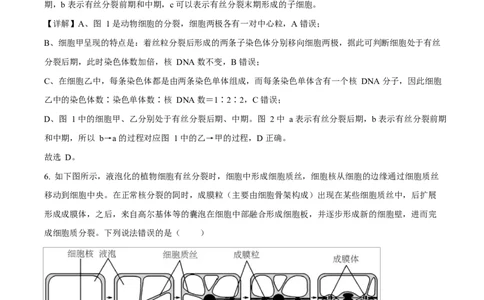 湖北省襄阳市第四中学2024&mdash;2025学年高一下学期3月考试生物试题Word版含解析_2025年04月试卷_0428湖北省襄阳市第四中学2024-2025学年高一下学期3月月考