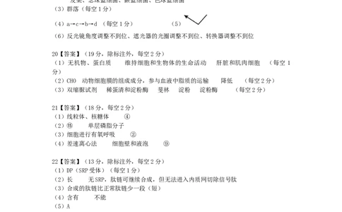 湖北省荆州中学2025-2026学年高一上学期期中考试生物试卷答案_2025年11月高一试卷_251122湖北省荆州中学2025-2026学年高一上学期期中考试（全）