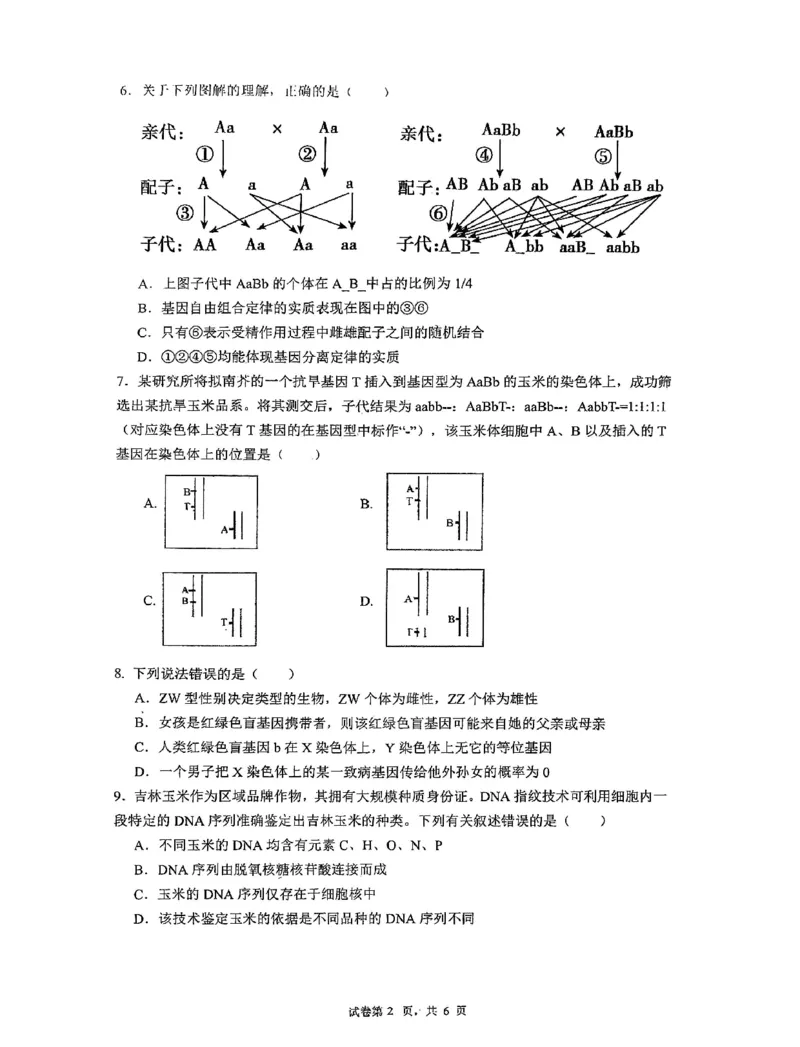 深圳市聚龙科学中学2025-2026第二学期高一年级第一阶段质量监测生物试卷_2026年04月高一试卷_260427广东省深圳市聚龙科学中学2025-2026学年高一下学期第一阶段质量监测联考（全科）