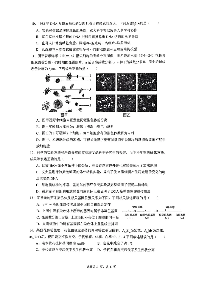 深圳市聚龙科学中学2025-2026第二学期高一年级第一阶段质量监测生物试卷_2026年04月高一试卷_260427广东省深圳市聚龙科学中学2025-2026学年高一下学期第一阶段质量监测联考（全科）