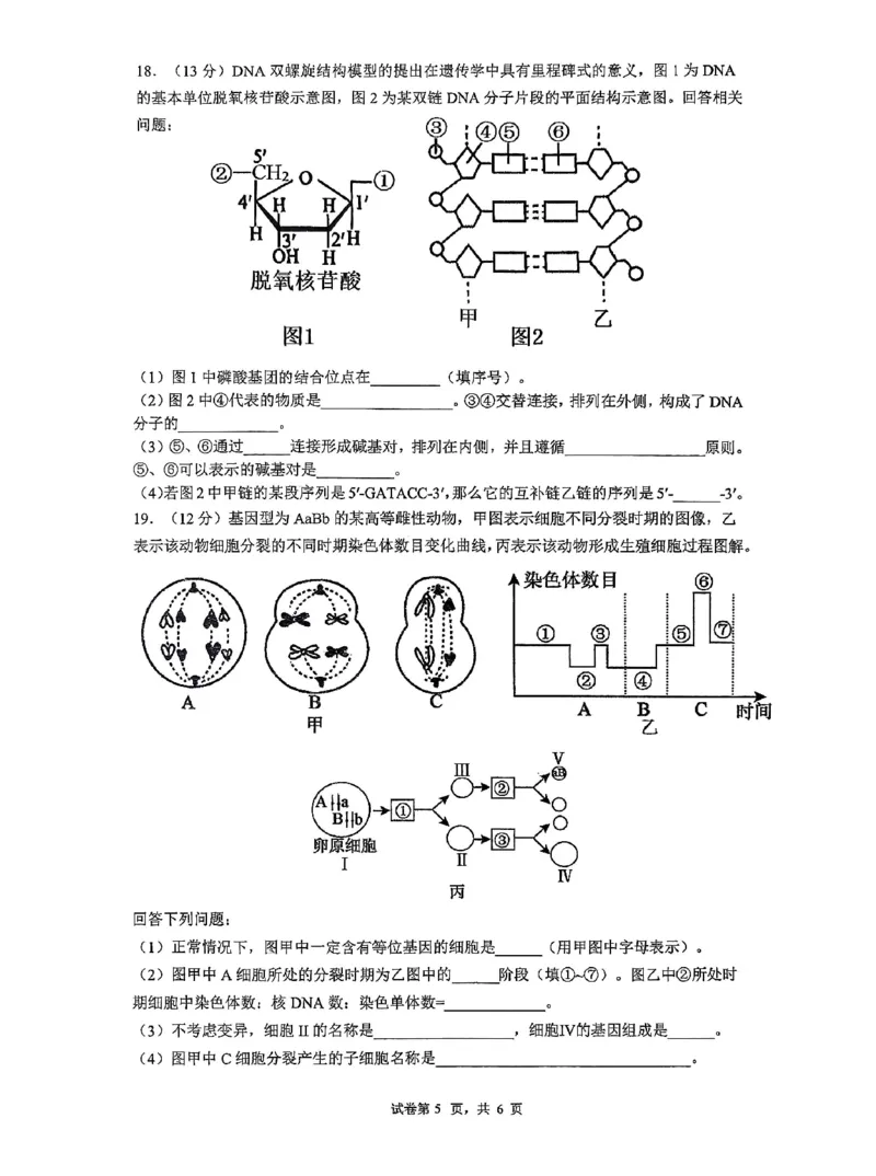 深圳市聚龙科学中学2025-2026第二学期高一年级第一阶段质量监测生物试卷_2026年04月高一试卷_260427广东省深圳市聚龙科学中学2025-2026学年高一下学期第一阶段质量监测联考（全科）