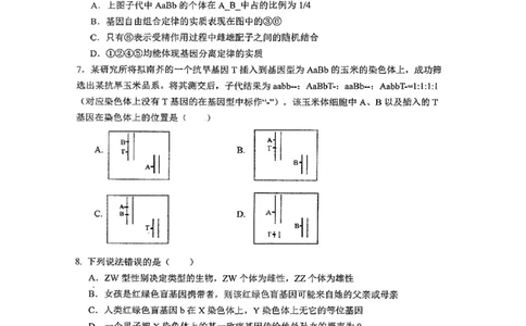 深圳市聚龙科学中学2025-2026第二学期高一年级第一阶段质量监测生物试卷_2026年04月高一试卷_260427广东省深圳市聚龙科学中学2025-2026学年高一下学期第一阶段质量监测联考（全科）