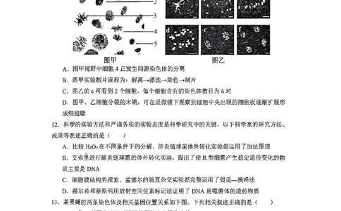 深圳市聚龙科学中学2025-2026第二学期高一年级第一阶段质量监测生物试卷_2026年04月高一试卷_260427广东省深圳市聚龙科学中学2025-2026学年高一下学期第一阶段质量监测联考（全科）