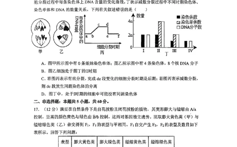 深圳市聚龙科学中学2025-2026第二学期高一年级第一阶段质量监测生物试卷_2026年04月高一试卷_260427广东省深圳市聚龙科学中学2025-2026学年高一下学期第一阶段质量监测联考（全科）