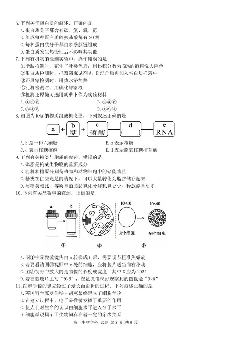 浙江省钱塘联盟2025-2026学年高一上学期11月期中生物试题_2025年12月高一试卷_251204浙江省钱塘联盟2025-2026学年高一上学期期中联考（全）