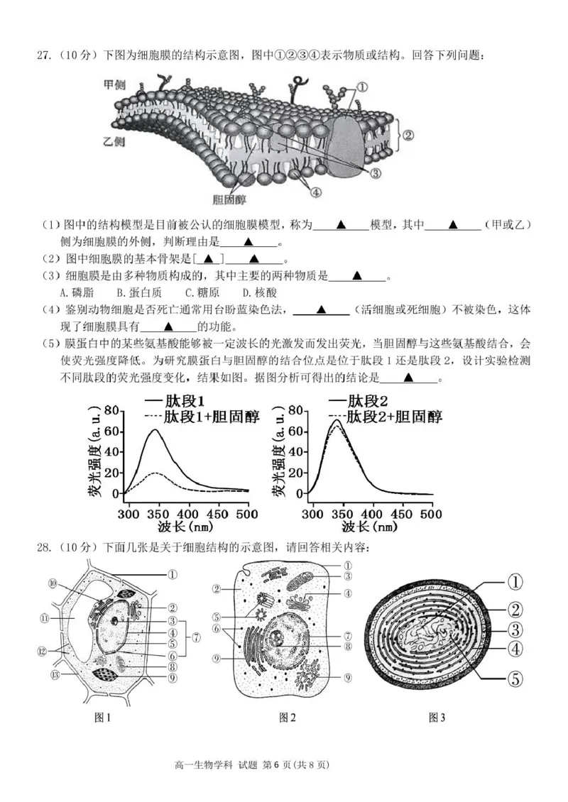 浙江省钱塘联盟2025-2026学年高一上学期11月期中生物试题_2025年12月高一试卷_251204浙江省钱塘联盟2025-2026学年高一上学期期中联考（全）