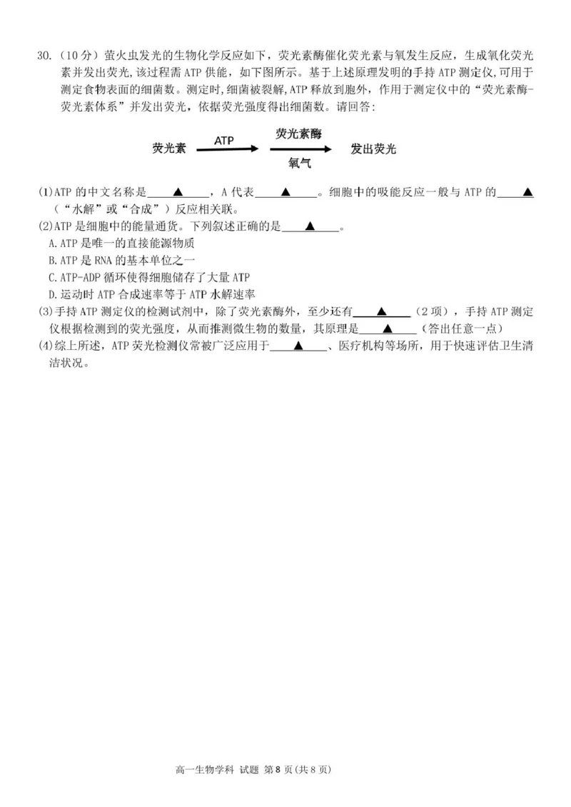 浙江省钱塘联盟2025-2026学年高一上学期11月期中生物试题_2025年12月高一试卷_251204浙江省钱塘联盟2025-2026学年高一上学期期中联考（全）
