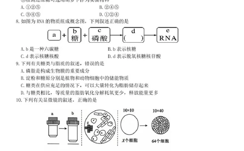 浙江省钱塘联盟2025-2026学年高一上学期11月期中生物试题_2025年12月高一试卷_251204浙江省钱塘联盟2025-2026学年高一上学期期中联考（全）