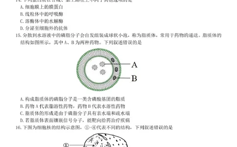 浙江省钱塘联盟2025-2026学年高一上学期11月期中生物试题_2025年12月高一试卷_251204浙江省钱塘联盟2025-2026学年高一上学期期中联考（全）
