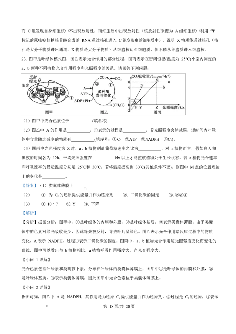 湖北省荆州中学2024-2025学年高一下学期2月月考生物试卷Word版含解析_2025年03月试卷_0313湖北省荆州中学2024-2025学年高一下学期2月月考