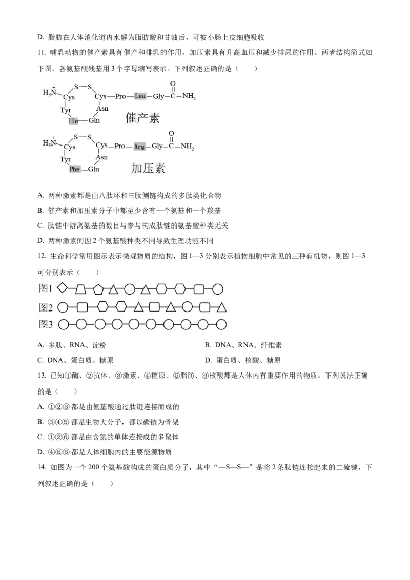 湖北省荆州中学2025-2026学年高一上学期10月月考生物试卷（原卷版）_2025年11月高一试卷_251107湖北省荆州市荆州中学2025-2026学年高一上学期10月月考