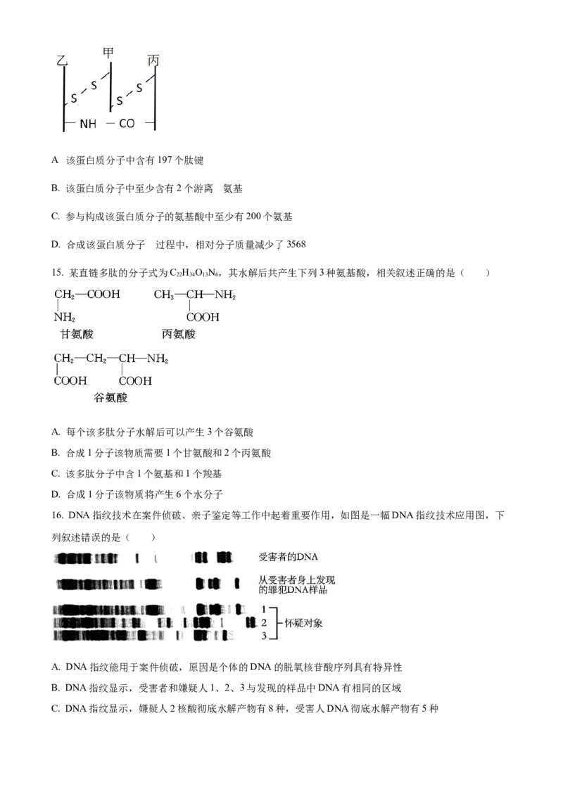 湖北省荆州中学2025-2026学年高一上学期10月月考生物试卷（原卷版）_2025年11月高一试卷_251107湖北省荆州市荆州中学2025-2026学年高一上学期10月月考
