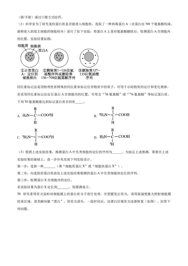 湖北省荆州中学2025-2026学年高一上学期10月月考生物试卷（原卷版）_2025年11月高一试卷_251107湖北省荆州市荆州中学2025-2026学年高一上学期10月月考