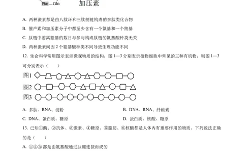 湖北省荆州中学2025-2026学年高一上学期10月月考生物试卷（原卷版）_2025年11月高一试卷_251107湖北省荆州市荆州中学2025-2026学年高一上学期10月月考