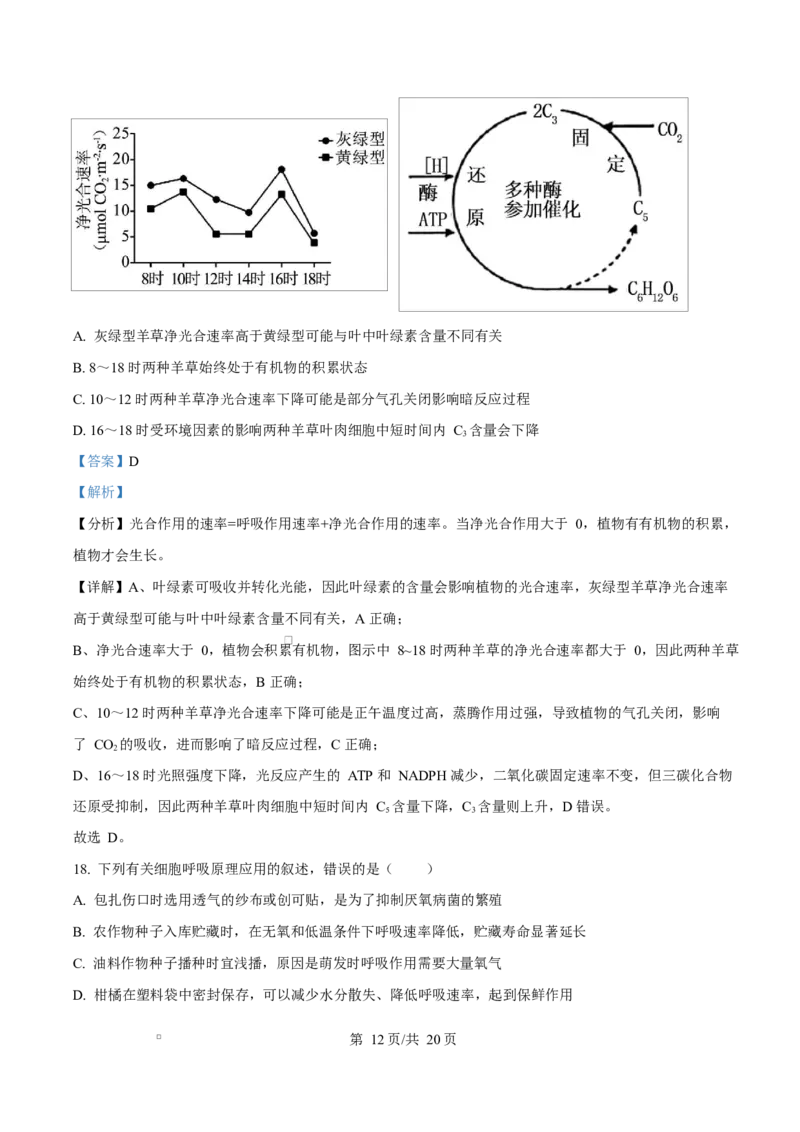 湖北省武汉市2024-2025学年高一上学期1月期末生物试题Word版含解析_2025年03月试卷_0321湖北省武汉市2024-2025学年高一上学期1月期末试题