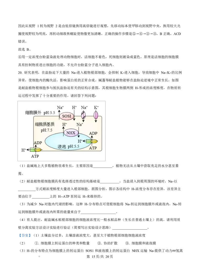 湖北省武汉市2024-2025学年高一上学期1月期末生物试题Word版含解析_2025年03月试卷_0321湖北省武汉市2024-2025学年高一上学期1月期末试题
