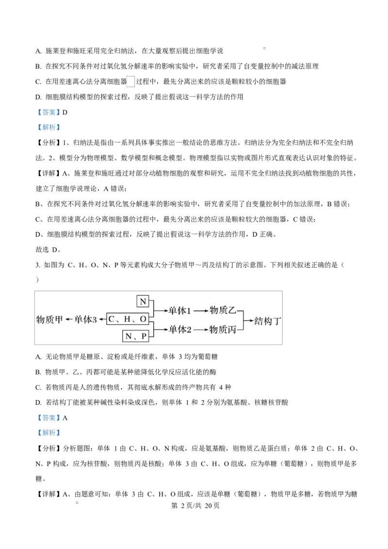 湖北省武汉市2024-2025学年高一上学期1月期末生物试题Word版含解析_2025年03月试卷_0321湖北省武汉市2024-2025学年高一上学期1月期末试题