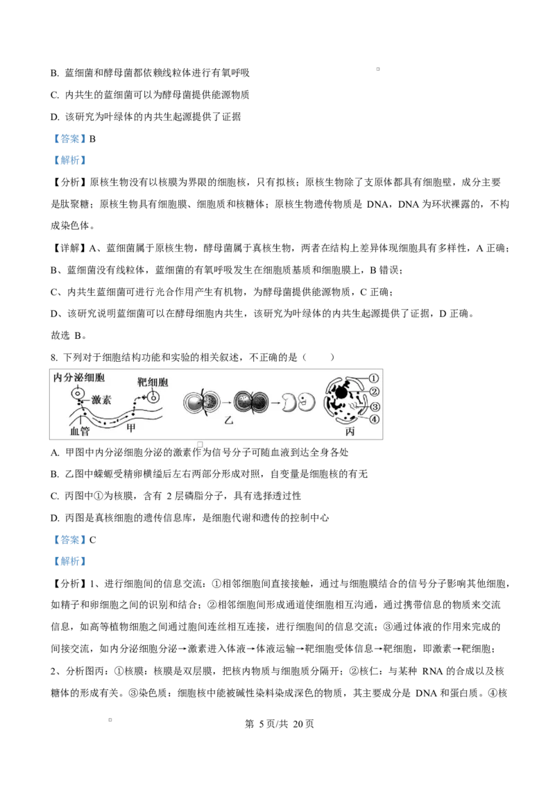 湖北省武汉市2024-2025学年高一上学期1月期末生物试题Word版含解析_2025年03月试卷_0321湖北省武汉市2024-2025学年高一上学期1月期末试题