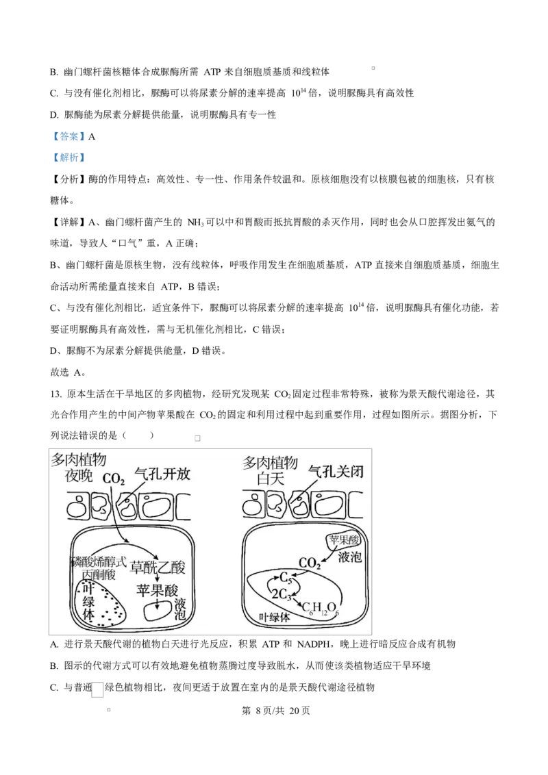 湖北省武汉市2024-2025学年高一上学期1月期末生物试题Word版含解析_2025年03月试卷_0321湖北省武汉市2024-2025学年高一上学期1月期末试题