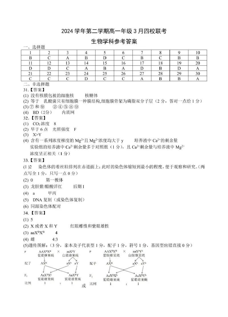 浙江省四校联考生物高一答案_2025年04月试卷_0403浙江省四校联盟2024-2025学年高一下学期3月联考_浙江省四校2024-2025学年高一下学期3月联考生物试卷（扫描版有答案）