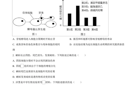 湖北省襄阳市第四中学2024&mdash;2025学年高一下学期3月考试生物试题（原卷版）_2025年04月试卷_0428湖北省襄阳市第四中学2024-2025学年高一下学期3月月考