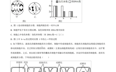 湖北省襄阳市第四中学2024&mdash;2025学年高一下学期3月考试生物试题（原卷版）_2025年04月试卷_0428湖北省襄阳市第四中学2024-2025学年高一下学期3月月考