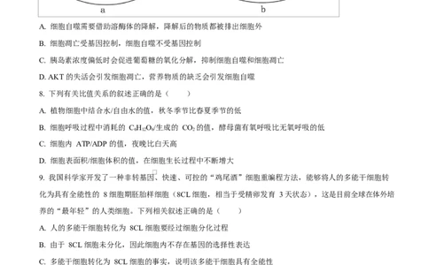 湖北省襄阳市第四中学2024&mdash;2025学年高一下学期3月考试生物试题（原卷版）_2025年04月试卷_0428湖北省襄阳市第四中学2024-2025学年高一下学期3月月考