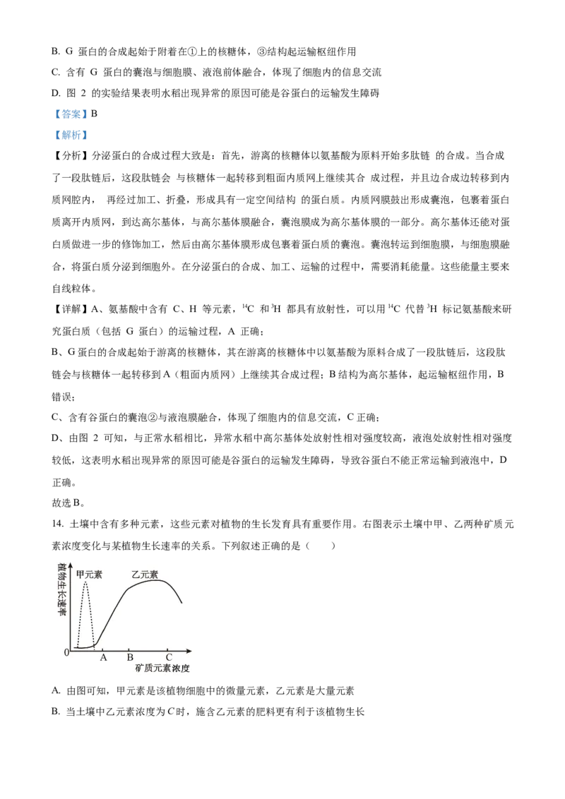 湖北省荆州市沙市中学2025-2026学年高一上学期10月月考生物试题Word版含解析_2025年11月高一试卷_251103湖北省荆州市沙市中学2025-2026学年高一上学期10月月考（全）