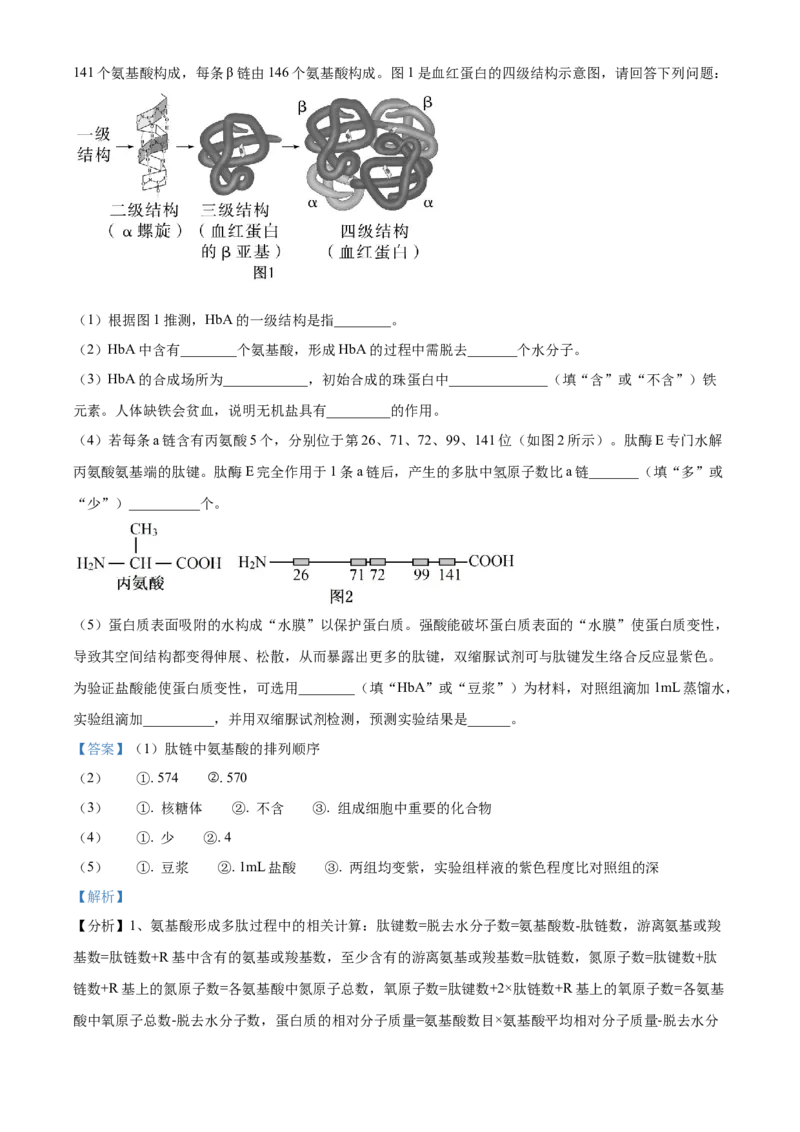 湖北省荆州市沙市中学2025-2026学年高一上学期10月月考生物试题Word版含解析_2025年11月高一试卷_251103湖北省荆州市沙市中学2025-2026学年高一上学期10月月考（全）