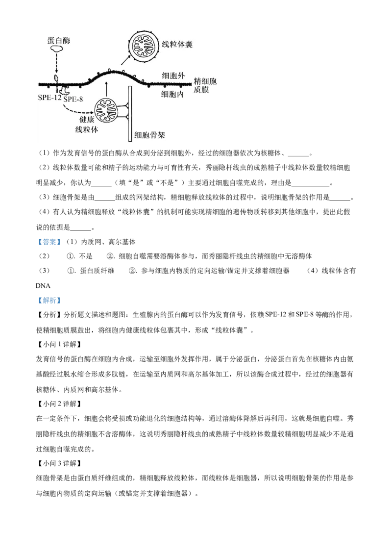 湖北省荆州市沙市中学2025-2026学年高一上学期10月月考生物试题Word版含解析_2025年11月高一试卷_251103湖北省荆州市沙市中学2025-2026学年高一上学期10月月考（全）