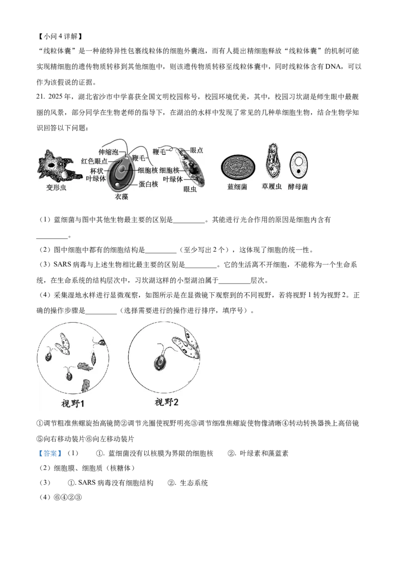 湖北省荆州市沙市中学2025-2026学年高一上学期10月月考生物试题Word版含解析_2025年11月高一试卷_251103湖北省荆州市沙市中学2025-2026学年高一上学期10月月考（全）
