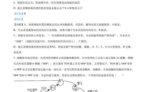 湖北省荆州市沙市中学2025-2026学年高一上学期10月月考生物试题Word版含解析_2025年11月高一试卷_251103湖北省荆州市沙市中学2025-2026学年高一上学期10月月考（全）