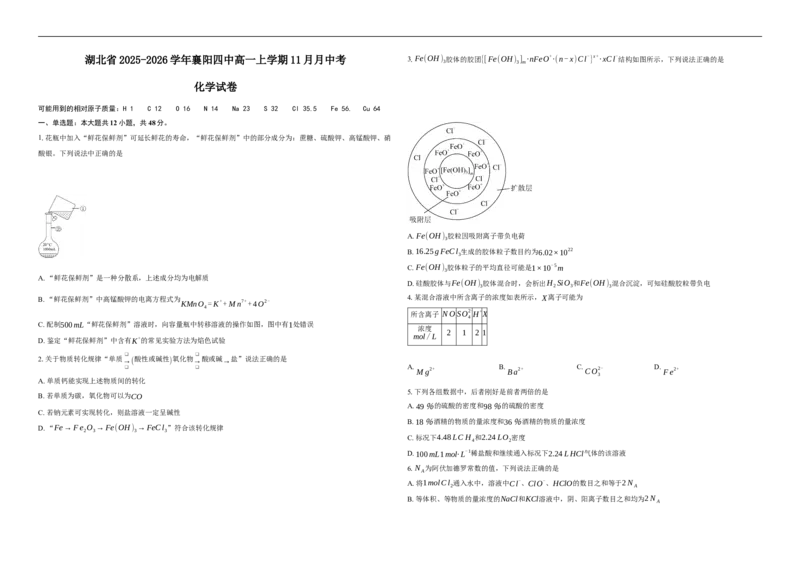 湖北省襄阳市第四中学2025-2026学年高一上学期11月期中化学试题（含解析）_2025年12月高一试卷_251201湖北省襄阳市第四中学2025-2026学年高一上学期11月期中（全）