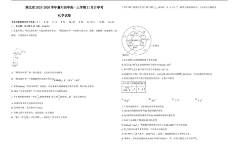 湖北省襄阳市第四中学2025-2026学年高一上学期11月期中化学试题（含解析）_2025年12月高一试卷_251201湖北省襄阳市第四中学2025-2026学年高一上学期11月期中（全）