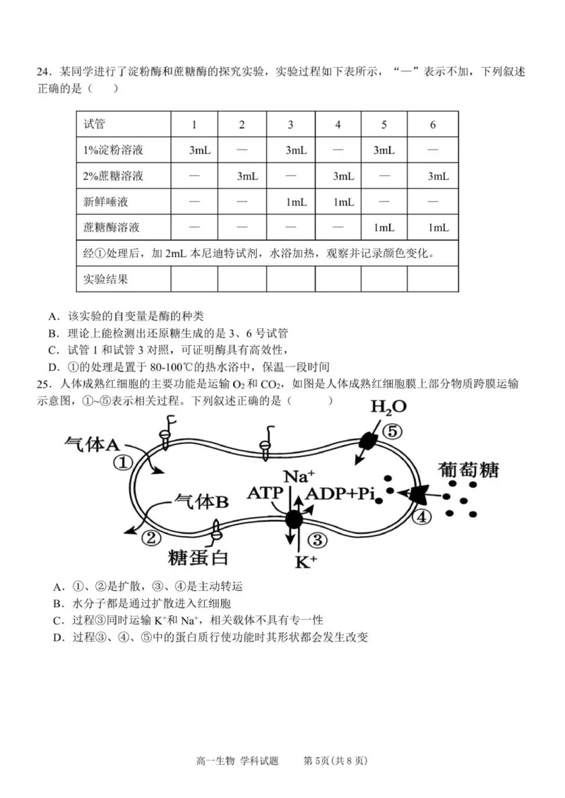 浙江省温州新力量联盟2025-2026学年高一上学期11月期中联考生物试题_2025年12月高一试卷_251210浙江省温州市新力量联盟2025-2026学年高一上学期11月期中（全）