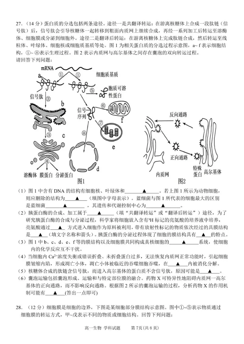 浙江省温州新力量联盟2025-2026学年高一上学期11月期中联考生物试题_2025年12月高一试卷_251210浙江省温州市新力量联盟2025-2026学年高一上学期11月期中（全）