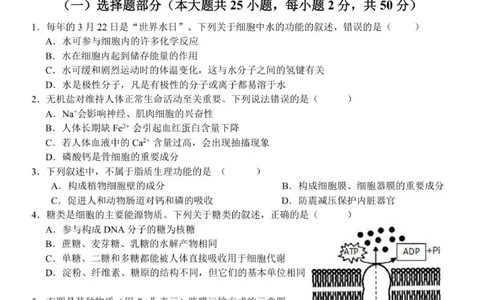 浙江省温州新力量联盟2025-2026学年高一上学期11月期中联考生物试题_2025年12月高一试卷_251210浙江省温州市新力量联盟2025-2026学年高一上学期11月期中（全）