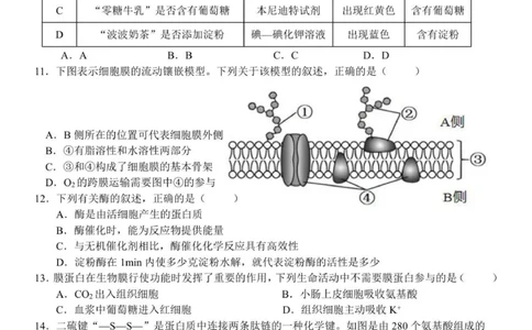 浙江省温州新力量联盟2025-2026学年高一上学期11月期中联考生物试题_2025年12月高一试卷_251210浙江省温州市新力量联盟2025-2026学年高一上学期11月期中（全）