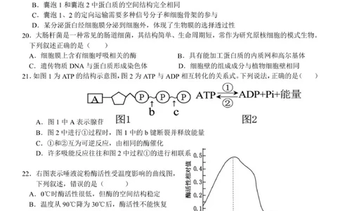 浙江省温州新力量联盟2025-2026学年高一上学期11月期中联考生物试题_2025年12月高一试卷_251210浙江省温州市新力量联盟2025-2026学年高一上学期11月期中（全）