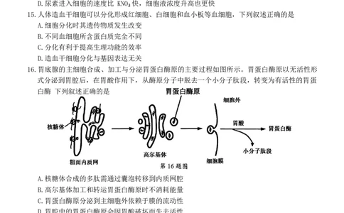 浙江省宁波市2025-2026学年高一上学期期末考试生物试卷（含答案）_2026年02月高一试卷_260211浙江省宁波市2025-2026学年高一上学期期末考试（全）