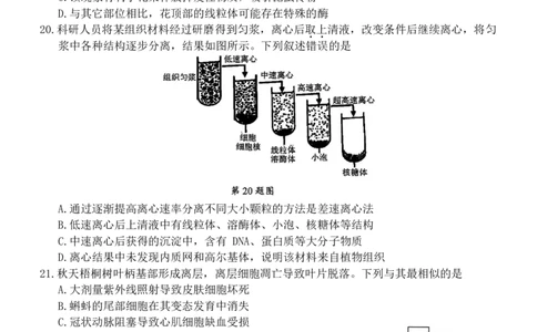 浙江省宁波市2025-2026学年高一上学期期末考试生物试卷（含答案）_2026年02月高一试卷_260211浙江省宁波市2025-2026学年高一上学期期末考试（全）