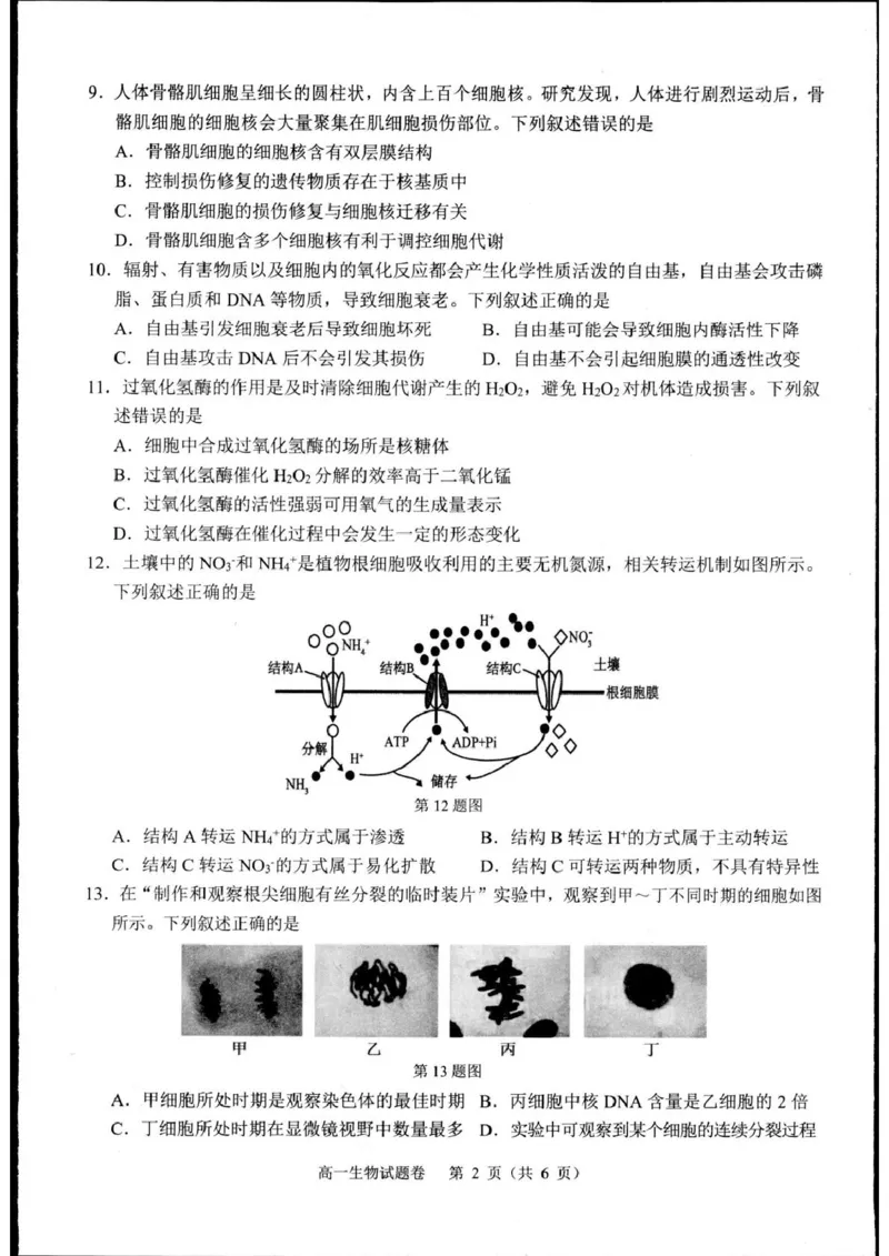 浙江省杭州市2024-2025学年高一上学期1月期末生物试题_2025年02月试卷_0226浙江省杭州市2024-2025学年高一上学期1月期末考试