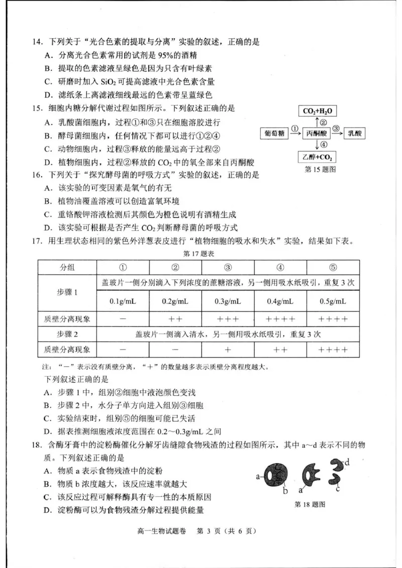 浙江省杭州市2024-2025学年高一上学期1月期末生物试题_2025年02月试卷_0226浙江省杭州市2024-2025学年高一上学期1月期末考试
