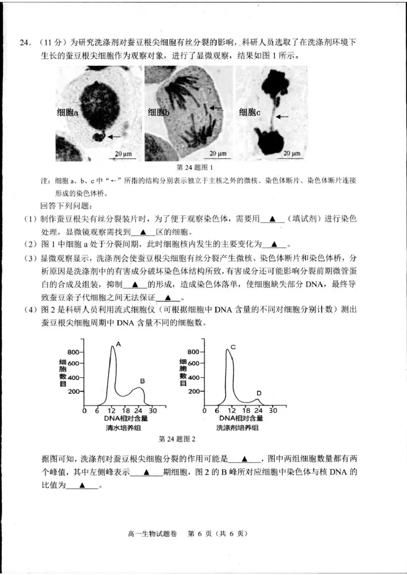 浙江省杭州市2024-2025学年高一上学期1月期末生物试题_2025年02月试卷_0226浙江省杭州市2024-2025学年高一上学期1月期末考试