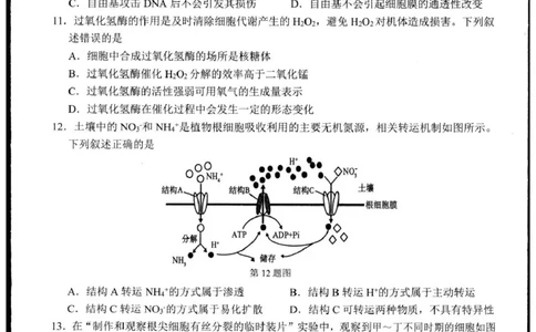 浙江省杭州市2024-2025学年高一上学期1月期末生物试题_2025年02月试卷_0226浙江省杭州市2024-2025学年高一上学期1月期末考试