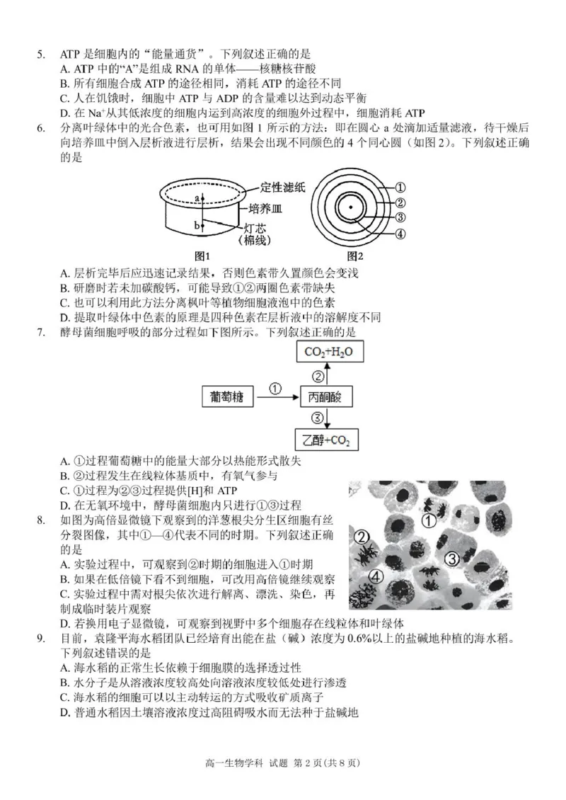浙江省浙东北县域名校发展联盟2024-2025学年高一下学期4月期中生物试题_2025年05月试卷_0521浙江省浙东北县域名校发展联盟（ZDB）2024-2025学年高一下学期4月期中考试