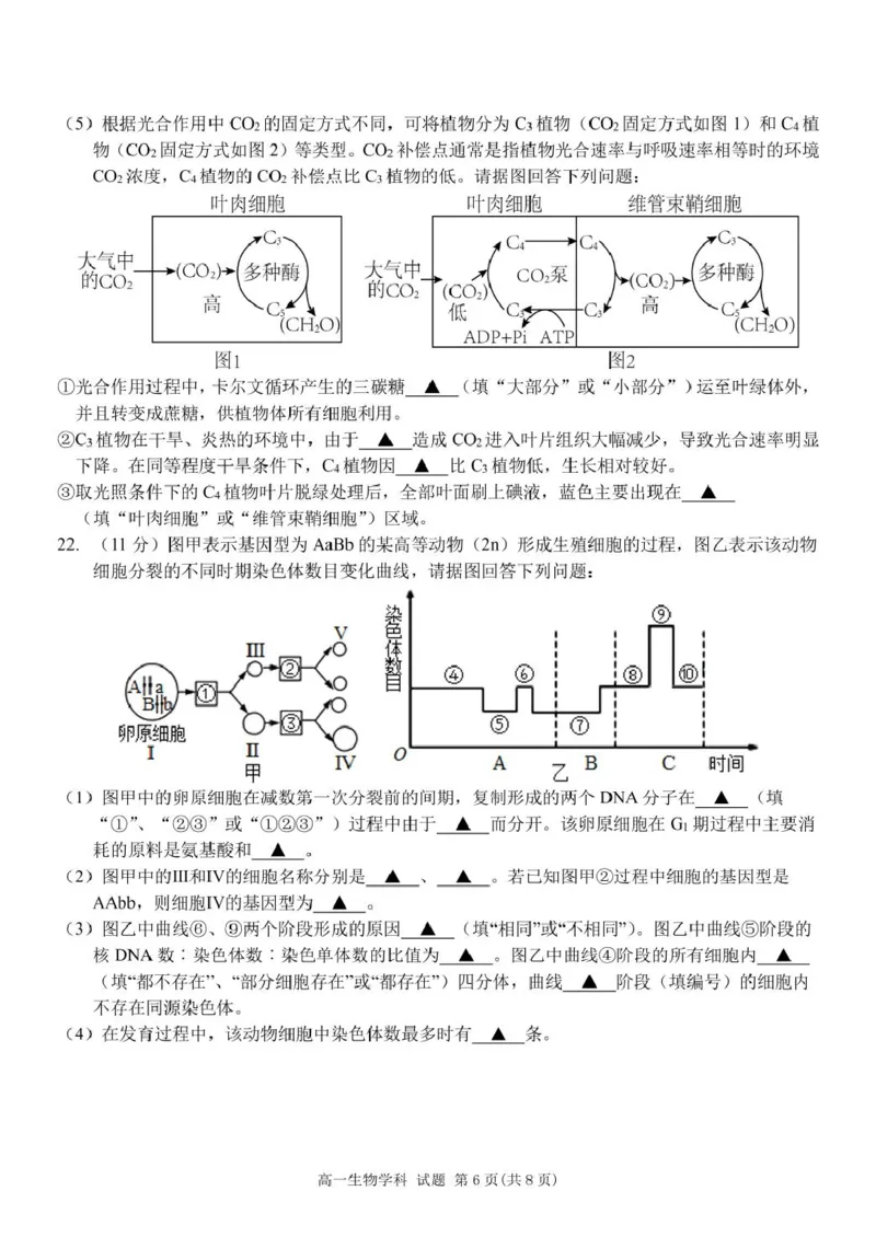 浙江省浙东北县域名校发展联盟2024-2025学年高一下学期4月期中生物试题_2025年05月试卷_0521浙江省浙东北县域名校发展联盟（ZDB）2024-2025学年高一下学期4月期中考试