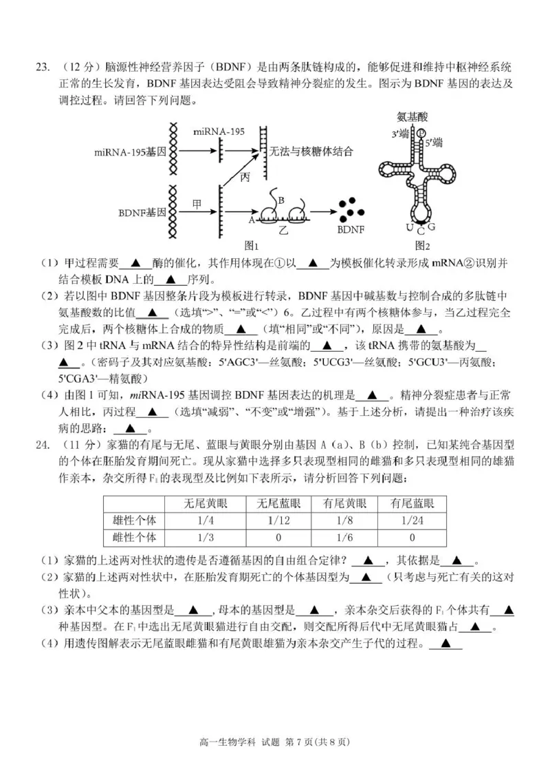 浙江省浙东北县域名校发展联盟2024-2025学年高一下学期4月期中生物试题_2025年05月试卷_0521浙江省浙东北县域名校发展联盟（ZDB）2024-2025学年高一下学期4月期中考试