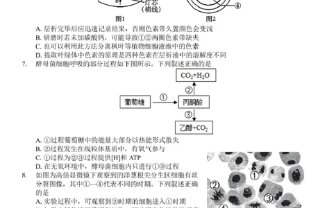 浙江省浙东北县域名校发展联盟2024-2025学年高一下学期4月期中生物试题_2025年05月试卷_0521浙江省浙东北县域名校发展联盟（ZDB）2024-2025学年高一下学期4月期中考试